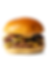 JUNK L BURGER